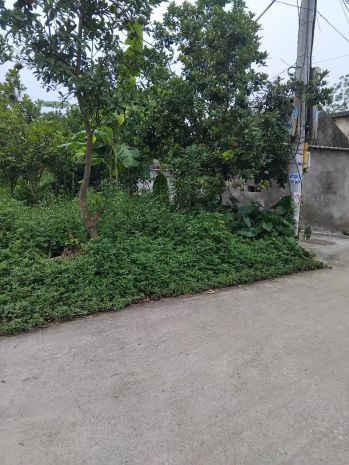 Bán lô góc,313m2 mặt 9,6m mộc bắc duy tiên, hà nam, 3,6 tỷ, 6602772