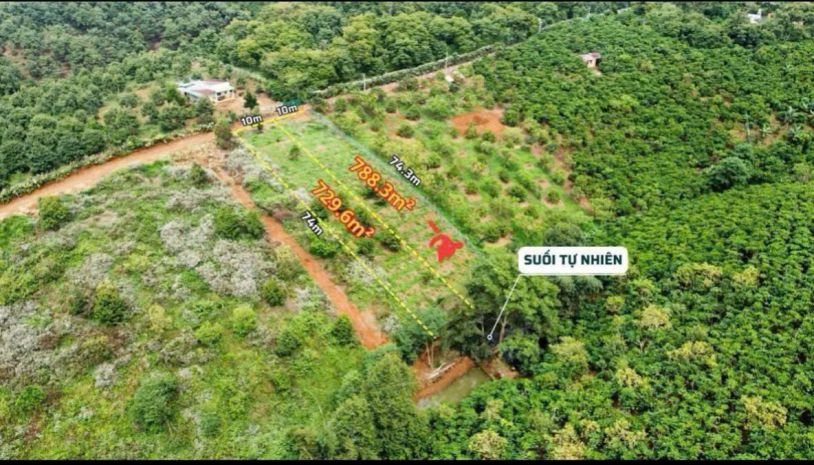Cần bán đất thôn 4, tân lạc , lâm đồng 6603155