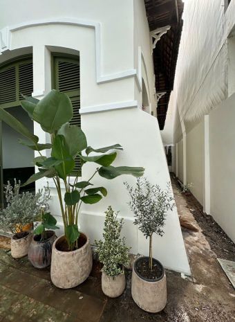 Chính chủ cho thuê villa phong cách indochine - mặt tiền 6604200