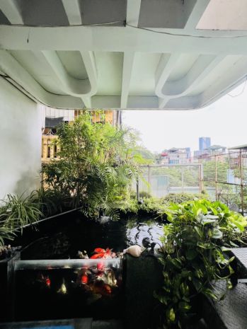 Hồ tây 40m ngõ ô tô vf3 đỗ cửa 10m ra phố 50m ra hồ giá 8 6605991