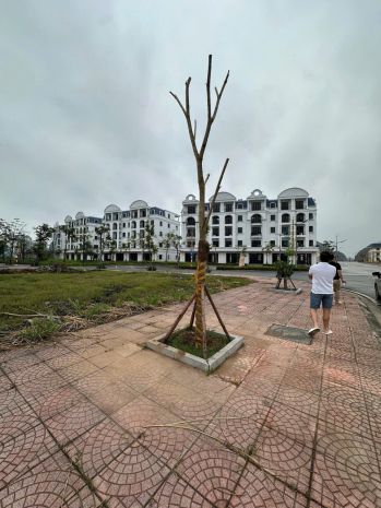 Chính chủ cần bán lô đất tại  phường cẩm bình - tp cẩm phả 6608066
