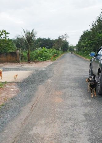 Cần tiền bán gấp trong tháng 7, giảm sâu lô đất mặt tiền đườ 6608129