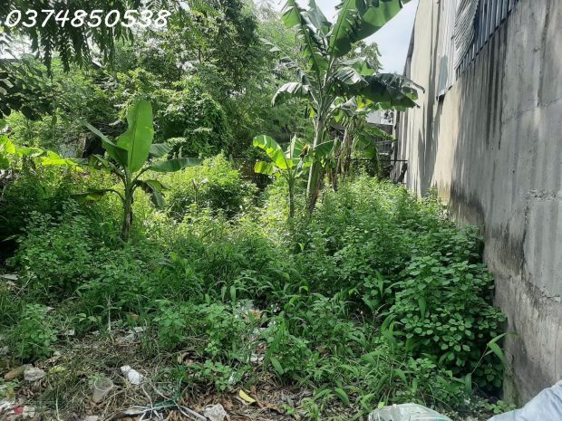 Chính chủ cần bán nhanh đất 5x25m ngay vpkp4, trảng dài, 6609072