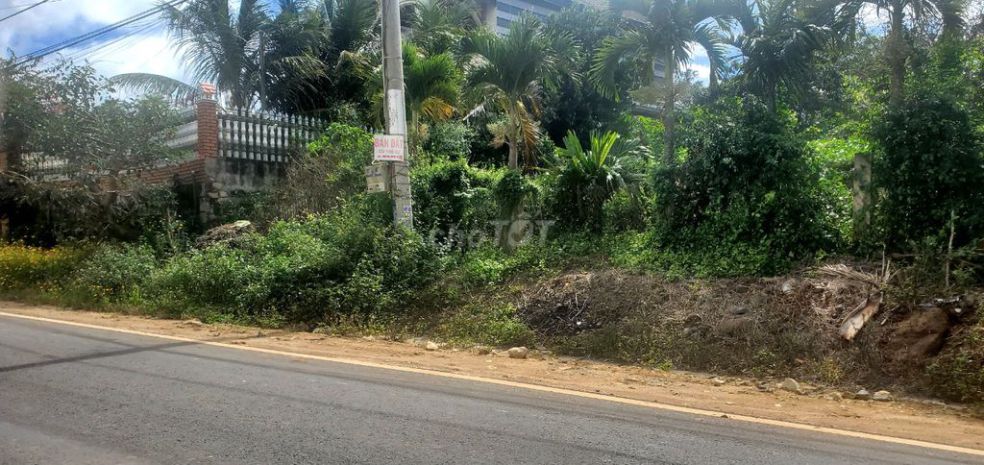 Bán gấp giá chỉ hơn 300trm dài  lô góc 6m mặt tiền đường 6610077