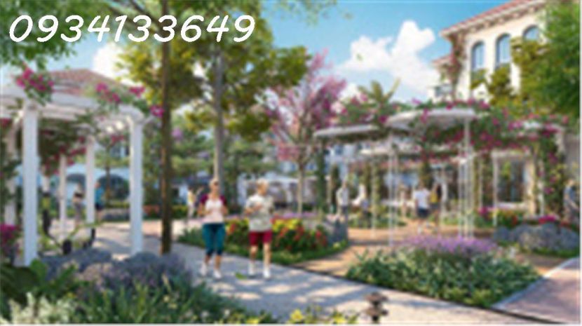 Giỏ hàng suất ngoại giao đặc biệt, ck 17: townhouse, biệt 6612586