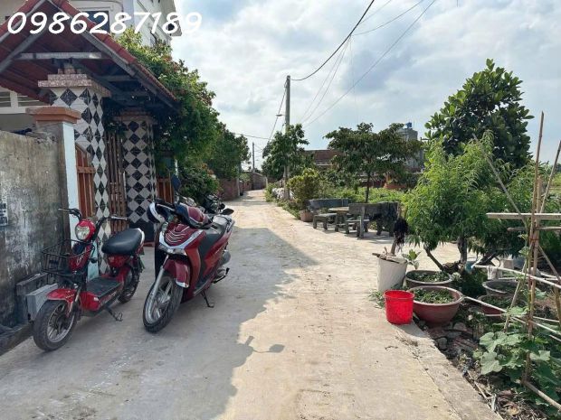 Cần bán 6 lô đất tại bùng bình dương - gia bình - bắc ninh 6612803