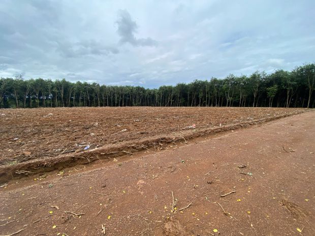 Đất sào tân hoà bình phước 6613746