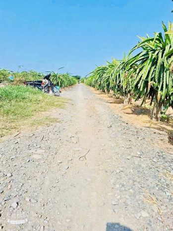 Cơ hội sở hữu đất nền giá ngộp chỉ 350 triệu 6614216