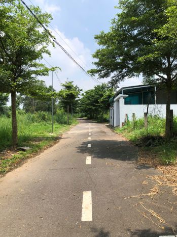 Giảm ngay 60 triệu 118m2 đất ở xã trảng bom, hôm nay 6621053
