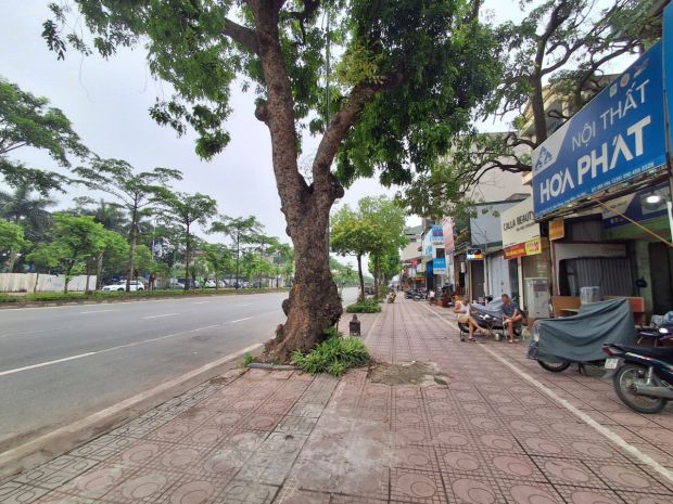 Bán đất mặt phố hoa lâm 100m, giá 22 tỷ 6621192