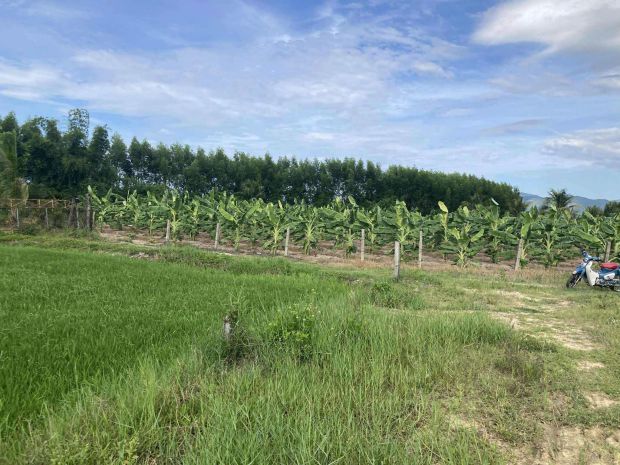 Lô đất nhà vườn, resort, farm...xã bình lộc, diên khánh. 6621576