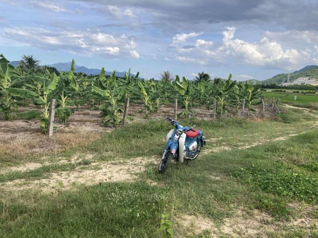 Lô đất nhà vườn, resort, farm...xã bình lộc, diên khánh. 6621577