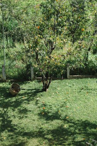 Cần bán lô đất ngang 30m, diện tích 2000m2 có 550m2 thổ cư 6621823