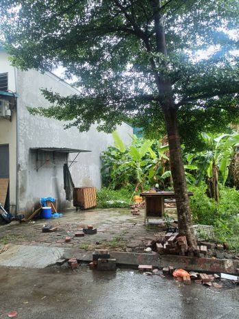Bán đất đấu giá lai xá, 78m²-mt5m, ô tô tránh, vỉa hè kd, 6625618