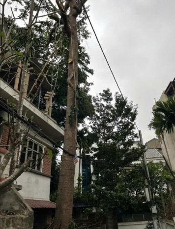 Cho thuê căn studio tầng 2 trong nhà biệt thự ngõ 488 ngọc 6626934