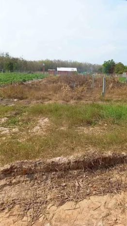 Đất thổ cư mặt tiền đường nhựa 7m  giá chỉ 480 triệu 6627318