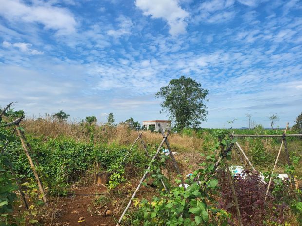 Bán đất view trực diện hồ sông ray - xuy ên mộc - brvt, 6628142