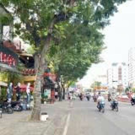 Siêu phẩm tp hcm q.11  phương hoa binh   nhà đẹp gần v 6631943