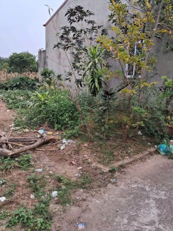 Bán đất, ngọc hồi - thanh trì 53 4 6.7 tỷ 6632264
