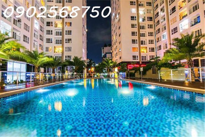 Cần mua căn hộ sky center - phổ quang, tân bình: 36m2 - 1pn 6633059