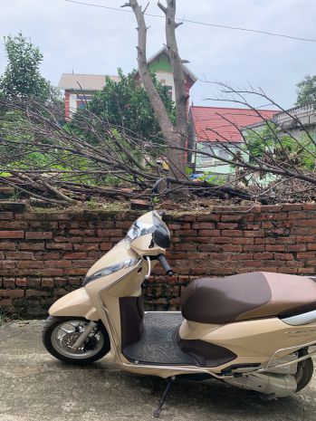 Cc cần bán 51,5m đất full tc đường 4m ô tô ngủ trong đất 6633289