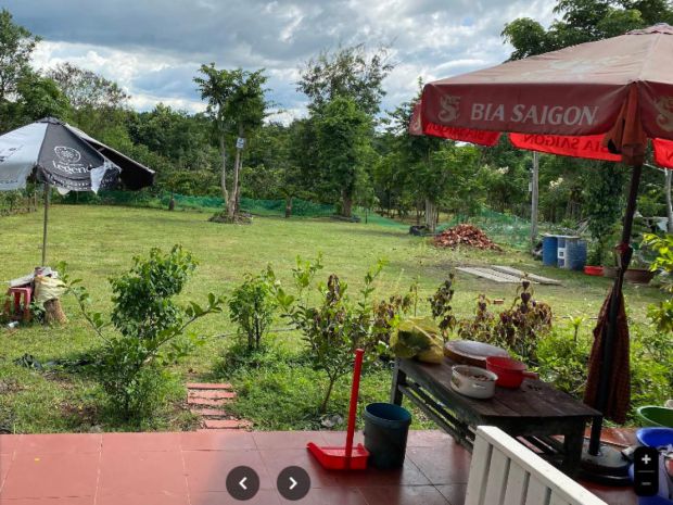 Đất vườn mt 1ha, có suối  xã ea nuôl đắk lắk 6637192
