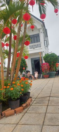 Chính chủ bán biệt thự 2 mt đường đỗ đăng tuyền, củ chi, 6639408