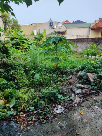 Lô đất  khánh vân-nhỉnh 5 tỷ- vuông đẹp - ngõ nông 6643853