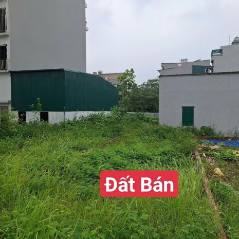 Mảnh đất vàng kdt đại kim - nguyễn cảnh dị, vỉa hè, ô tô 6646198