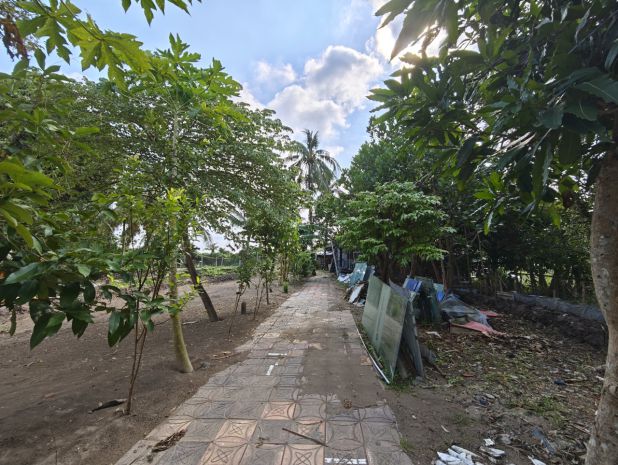 56. cho thuê đất 5 triệu 1200m2 gần cầu cồn khương 2 mặt lộ 6647557