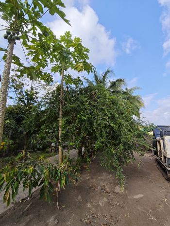 56. cho thuê đất 5 triệu 1200m2 gần cầu cồn khương 2 mặt lộ 6647558