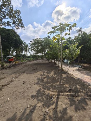 56. cho thuê đất 5 triệu 1200m2 gần cầu cồn khương 2 mặt lộ 6647563