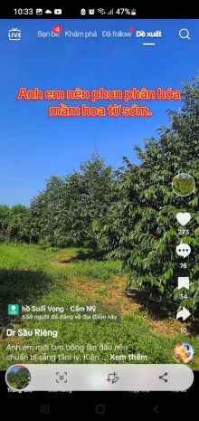 Bán đất vườn sầu riêng sẵn sổ tại vĩnh long 6647994