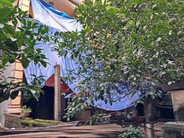 Cho thuê nhà riêng gần khu bán đảo linh đàm  phù hợp làm 6648140