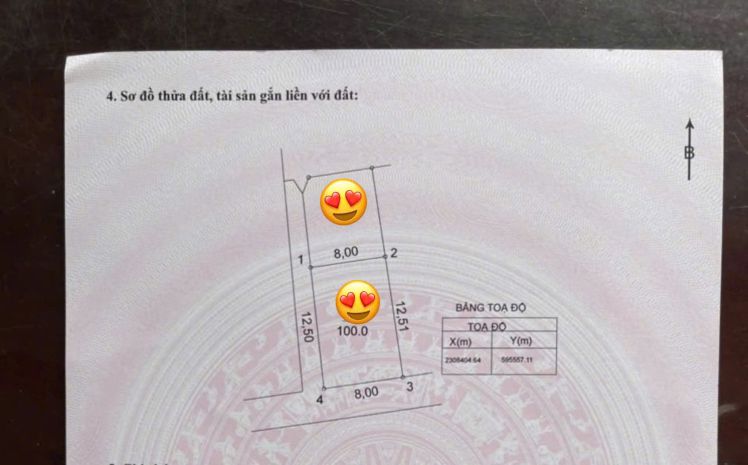 Bán siêu phẩm 100m2 lô góc 2 mặt tiền xóm 1 tự nhiên_thường 6648804