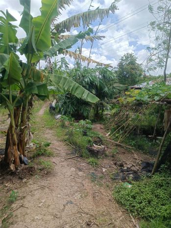 Đất đẹp - giá tốt - bán gấp lô đất tiềm năng tại phường 6648995