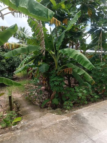 Đất đẹp - giá tốt - bán gấp lô đất tiềm năng tại phường 6648997