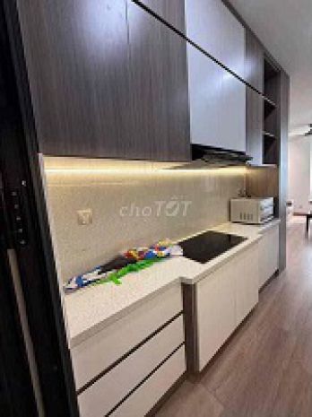 Cho thuê chung cư park view residence 6650547