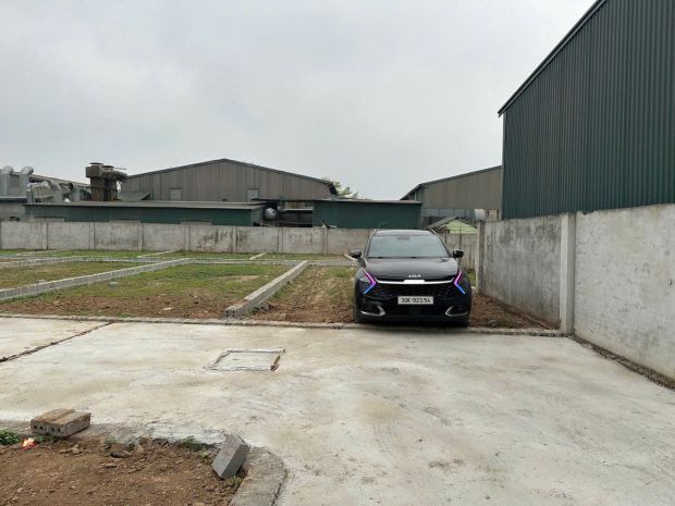 Bán 103.5m2 đất ninh sở giáp vạn phúc thanh trì gần cầu 6652897