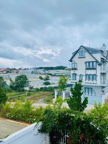 Cho thuê villa cao cấp đà lạt, lâm viên - view thông, nhà 6652920