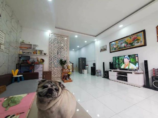 Nguyễn thị thập, 6,3tỷ, dt 50m2, 3 tầng, hẻm ôtô đậu cửa, 6654301