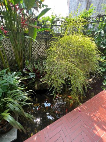 Bán gấp! biệt thự mini góc 2 mặt tiền đường 61, phường thảo 6656350