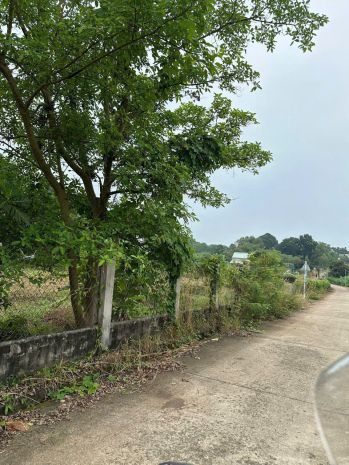 Chính chủ bán đất siêu đẹp thuộc suối nghệ - h. châu đức- 6658163