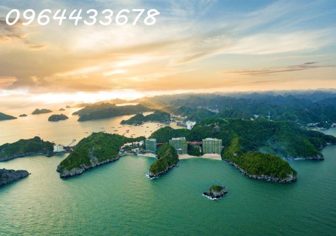 Đầu tư căn hộ nghỉ dưỡng flamingo cát bà  nhận sổ hồng 6658647