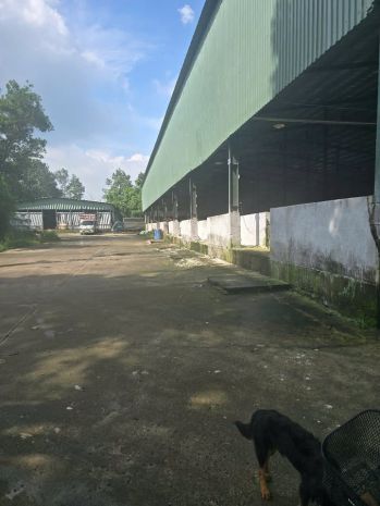 Bán 29000m2 đất phi nông nghiệp skc gồm một cơ sở giết mổ 6659007