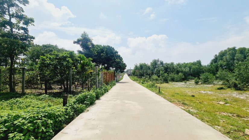 Bán 20m x 44m đất thổ cư hẻm trần quang diệu, lagi giá rẻ 6659264