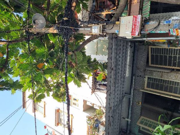 Bán nhà mặt tiền đường số 5, bình tân, 88m², 13 phòng cho th 6660884