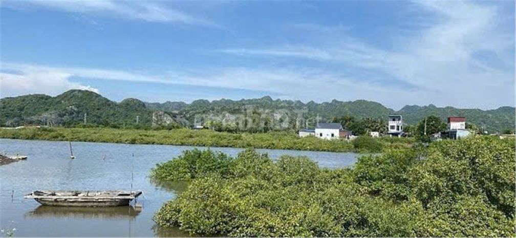 Chính chủ cần bán lô đất tại thôn bắc, xã phù long, cát 6661991