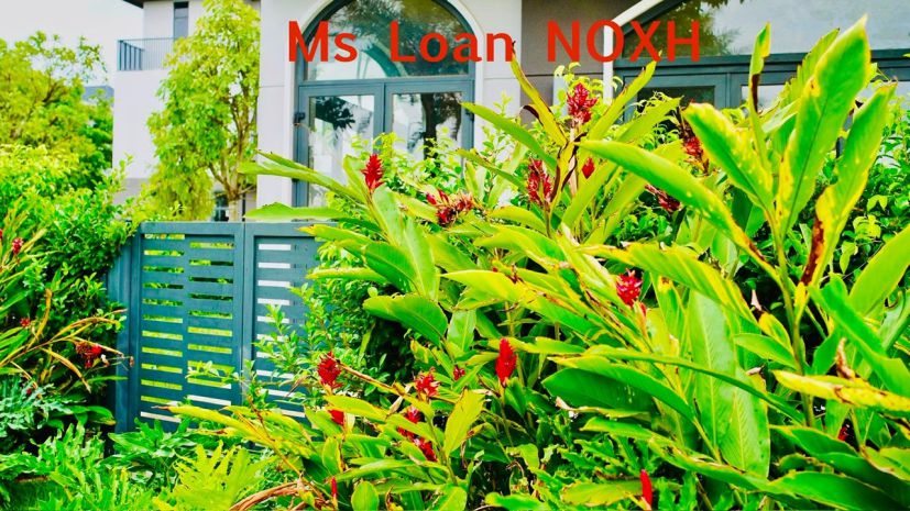 Căn hộ xã hội ngay trung tâm gần chợ, trường học... đầy đủ 6662489