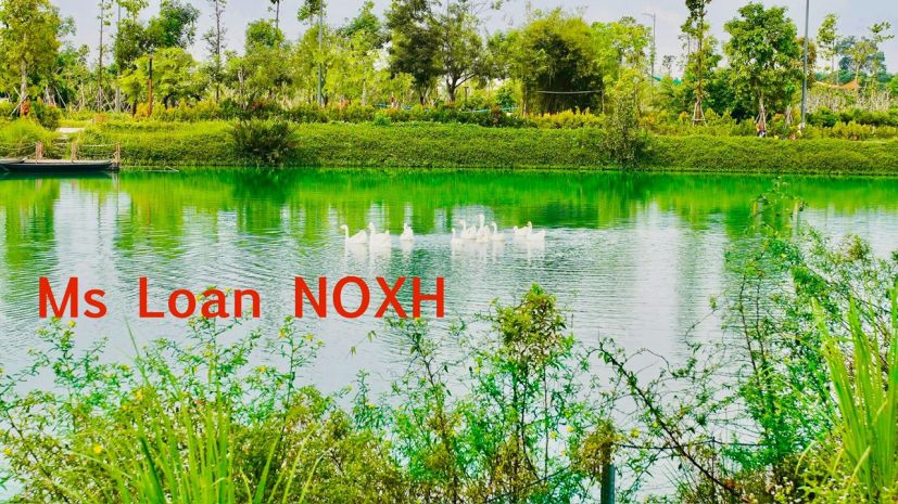 Căn hộ xã hội ngay trung tâm gần chợ, trường học... đầy đủ 6662490